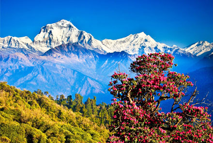 Nepal Tour Package